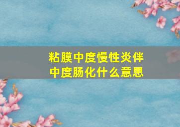 粘膜中度慢性炎伴中度肠化什么意思