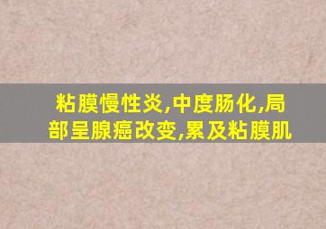 粘膜慢性炎,中度肠化,局部呈腺癌改变,累及粘膜肌