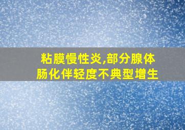 粘膜慢性炎,部分腺体肠化伴轻度不典型增生