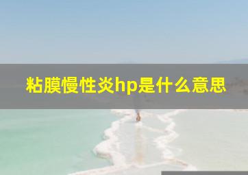 粘膜慢性炎hp是什么意思