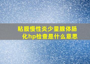 粘膜慢性炎少量腺体肠化hp检查是什么意思