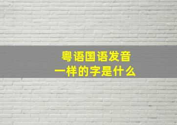 粤语国语发音一样的字是什么