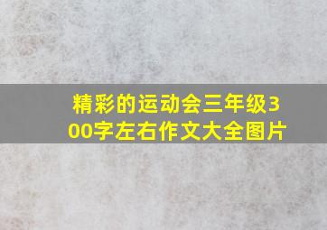 精彩的运动会三年级300字左右作文大全图片