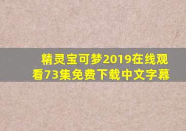 精灵宝可梦2019在线观看73集免费下载中文字幕