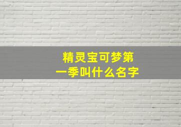 精灵宝可梦第一季叫什么名字