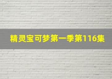 精灵宝可梦第一季第116集