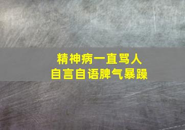 精神病一直骂人自言自语脾气暴躁