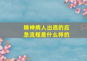 精神病人出逃的应急流程是什么样的