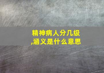 精神病人分几级,涵义是什么意思