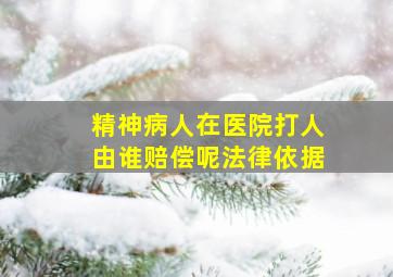 精神病人在医院打人由谁赔偿呢法律依据