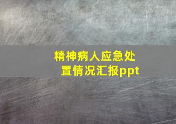 精神病人应急处置情况汇报ppt