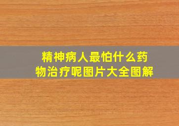 精神病人最怕什么药物治疗呢图片大全图解