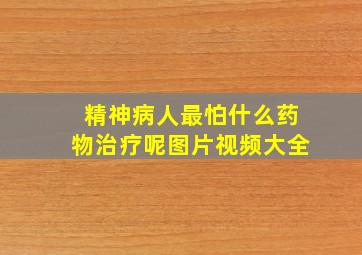 精神病人最怕什么药物治疗呢图片视频大全