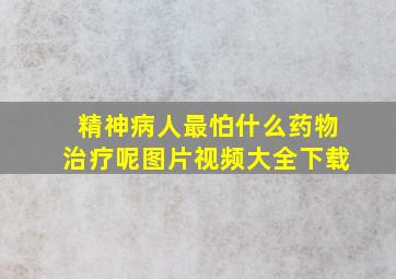 精神病人最怕什么药物治疗呢图片视频大全下载