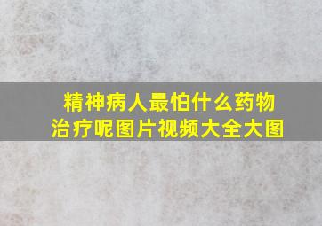 精神病人最怕什么药物治疗呢图片视频大全大图