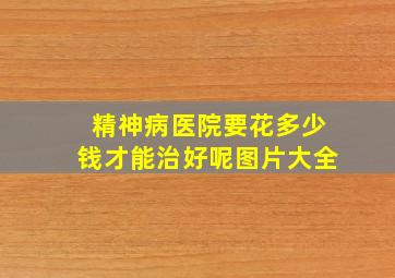 精神病医院要花多少钱才能治好呢图片大全