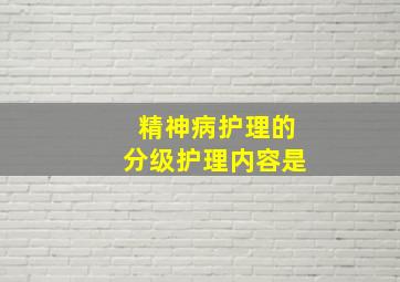 精神病护理的分级护理内容是