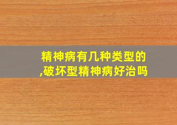 精神病有几种类型的,破坏型精神病好治吗