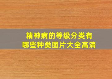 精神病的等级分类有哪些种类图片大全高清