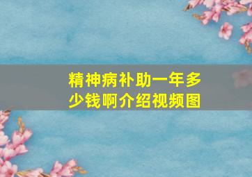 精神病补助一年多少钱啊介绍视频图