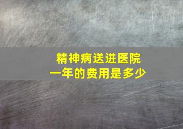 精神病送进医院一年的费用是多少