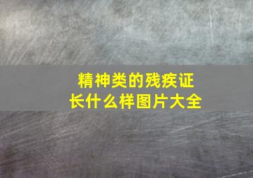 精神类的残疾证长什么样图片大全