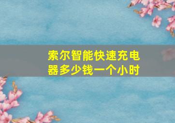 索尔智能快速充电器多少钱一个小时