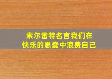 索尔雷特名言我们在快乐的愚蠢中浪费自己