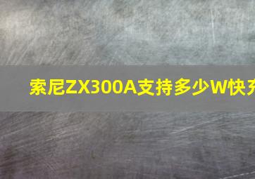 索尼ZX300A支持多少W快充