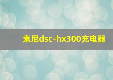 索尼dsc-hx300充电器