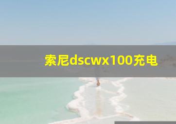 索尼dscwx100充电