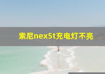 索尼nex5t充电灯不亮