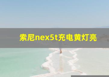 索尼nex5t充电黄灯亮