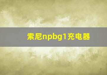 索尼npbg1充电器