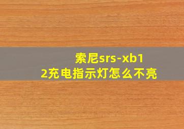 索尼srs-xb12充电指示灯怎么不亮