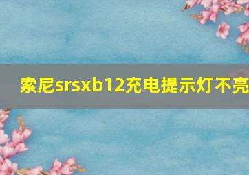 索尼srsxb12充电提示灯不亮