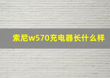 索尼w570充电器长什么样