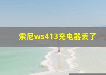 索尼ws413充电器丢了