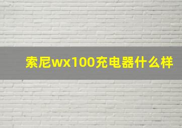 索尼wx100充电器什么样