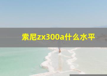 索尼zx300a什么水平