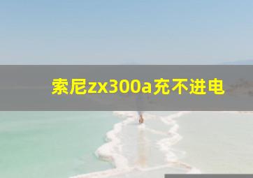 索尼zx300a充不进电