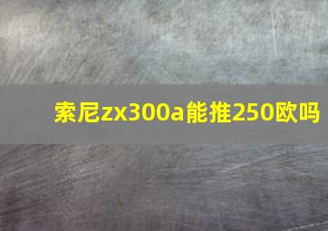 索尼zx300a能推250欧吗