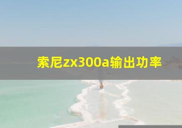 索尼zx300a输出功率