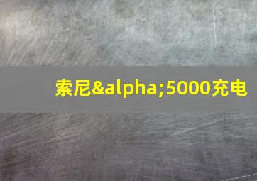 索尼α5000充电