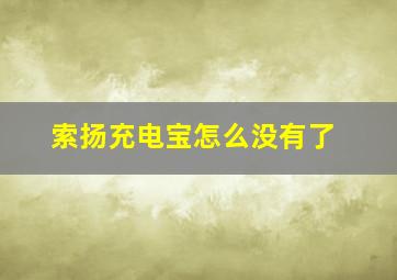 索扬充电宝怎么没有了