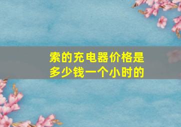 索的充电器价格是多少钱一个小时的