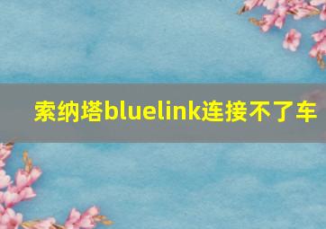 索纳塔bluelink连接不了车