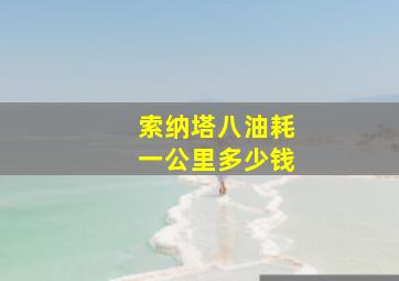 索纳塔八油耗一公里多少钱