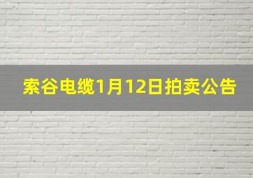 索谷电缆1月12日拍卖公告