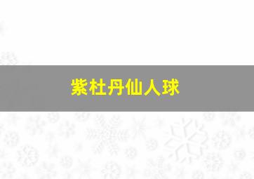 紫杜丹仙人球